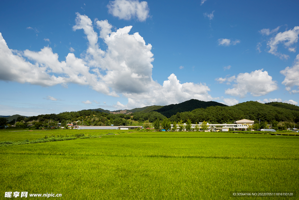 户外草原平原自然景观