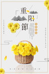 重阳节海报