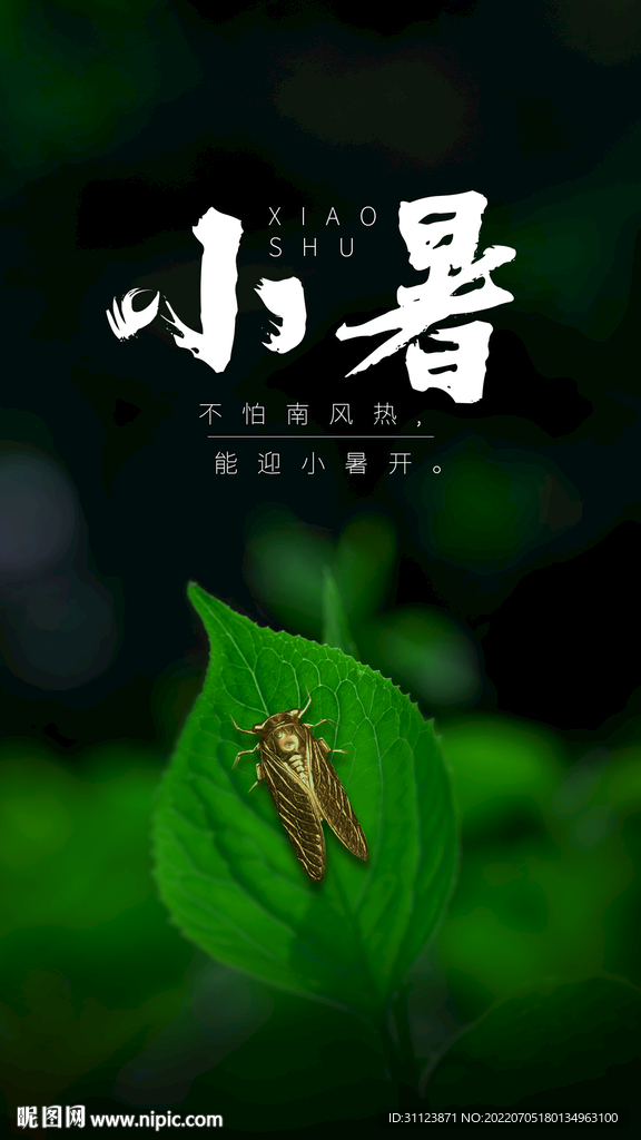 小暑海报