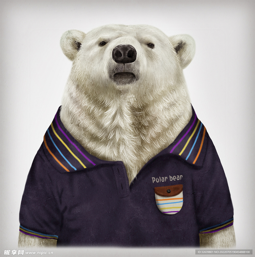 动物插画 北极熊的肖像