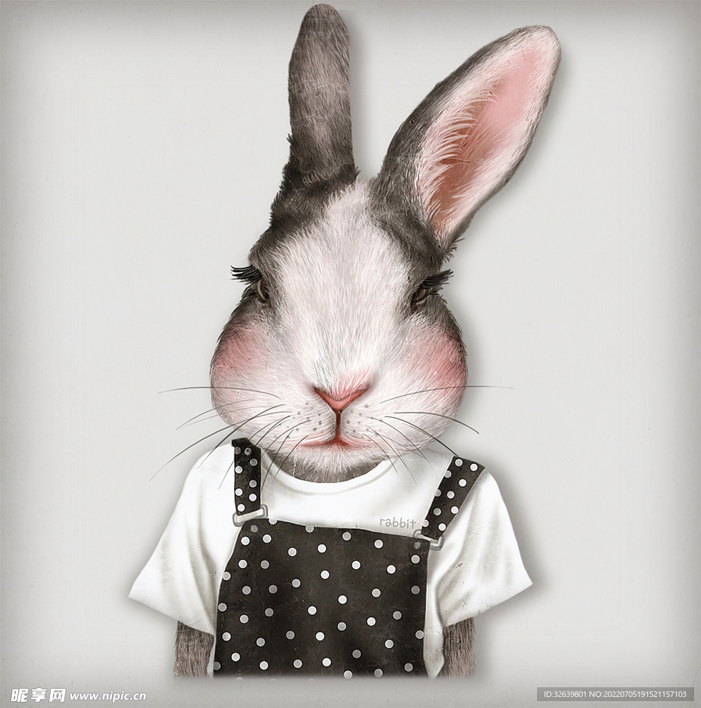 动物插画 兔子的画像
