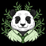 动物插画  大熊猫的头像