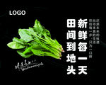 菠菜框画