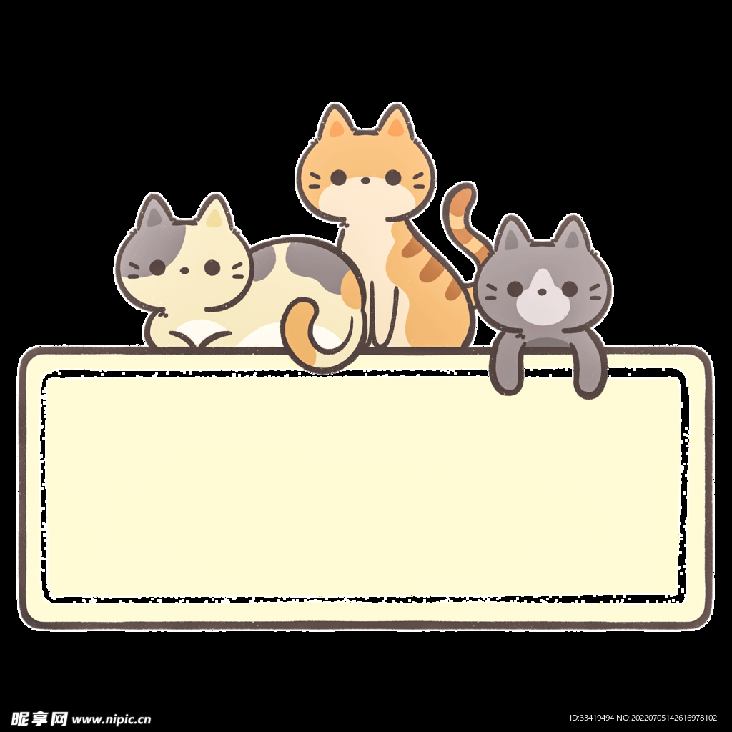  文本框