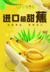进口香蕉