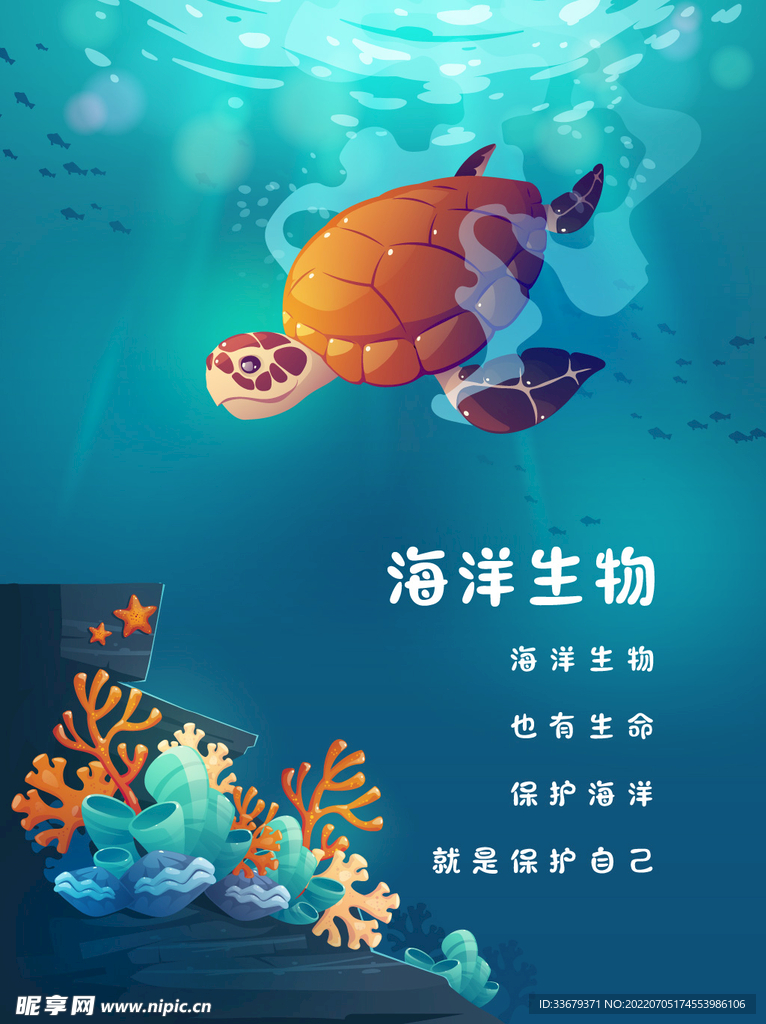 海洋生物