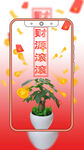 发财树