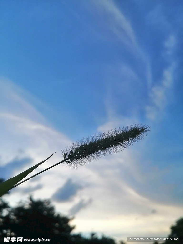 晴空 天晴 蓝天 白云 天空 