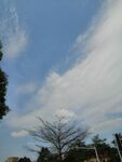 晴空 天晴 蓝天 白云 天空 