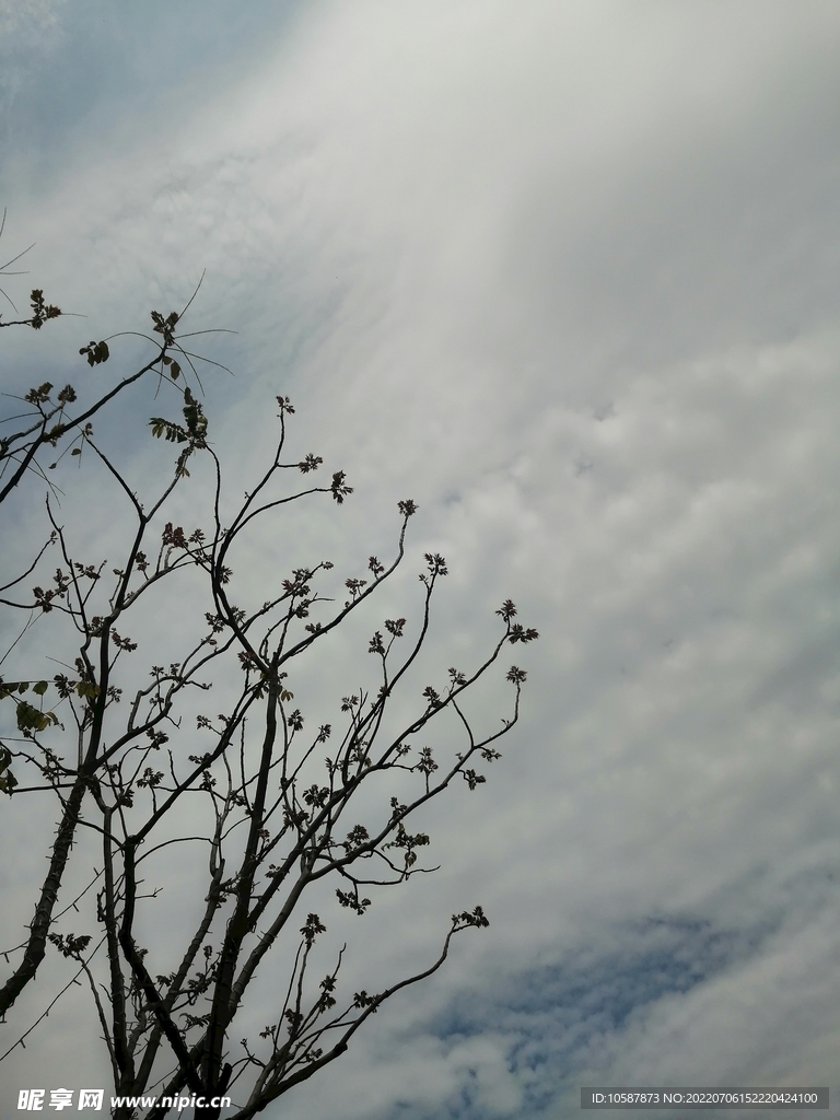 晴空 天晴 蓝天 白云 天空 