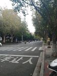 马路