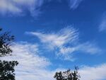 晴空