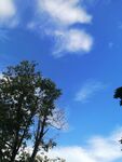 晴空