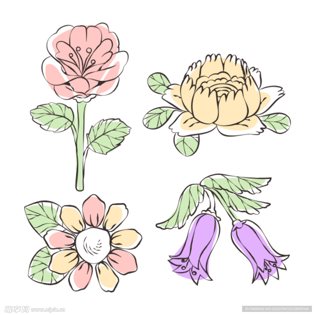花卉素材
