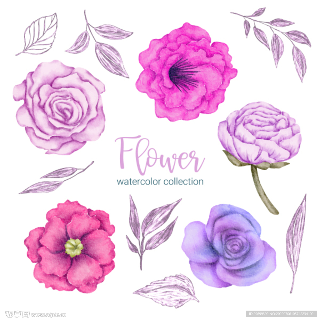 玫瑰花