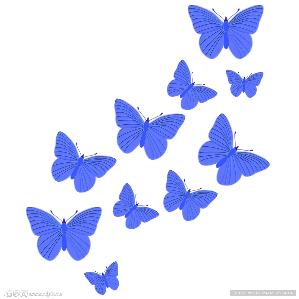 蓝色蝴蝶插画