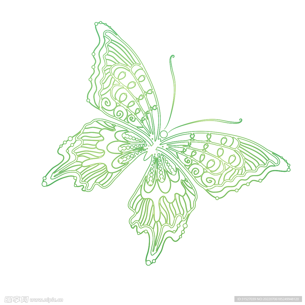 绿色蝴蝶插画