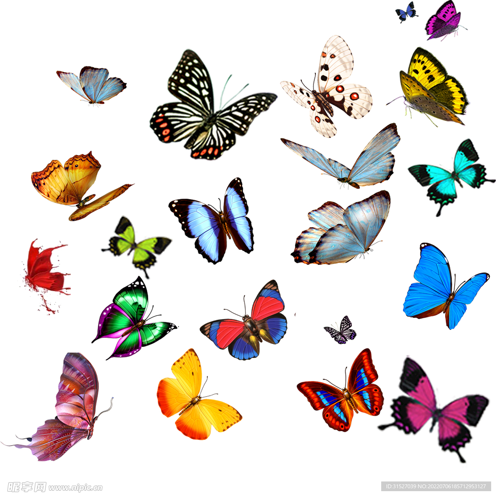 时尚彩色昆虫蝴蝶套图  