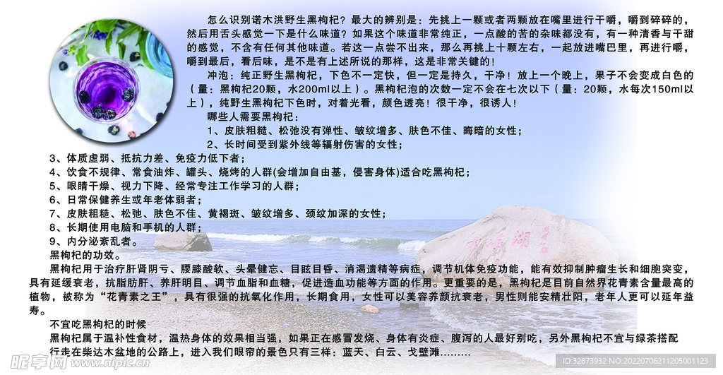 青海枸杞子反面