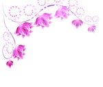 七彩花