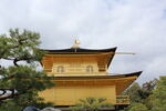 日本金光寺