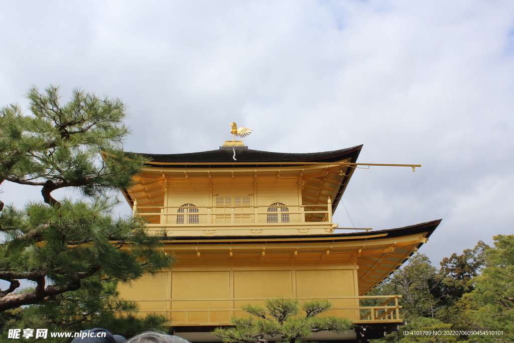 日本金光寺