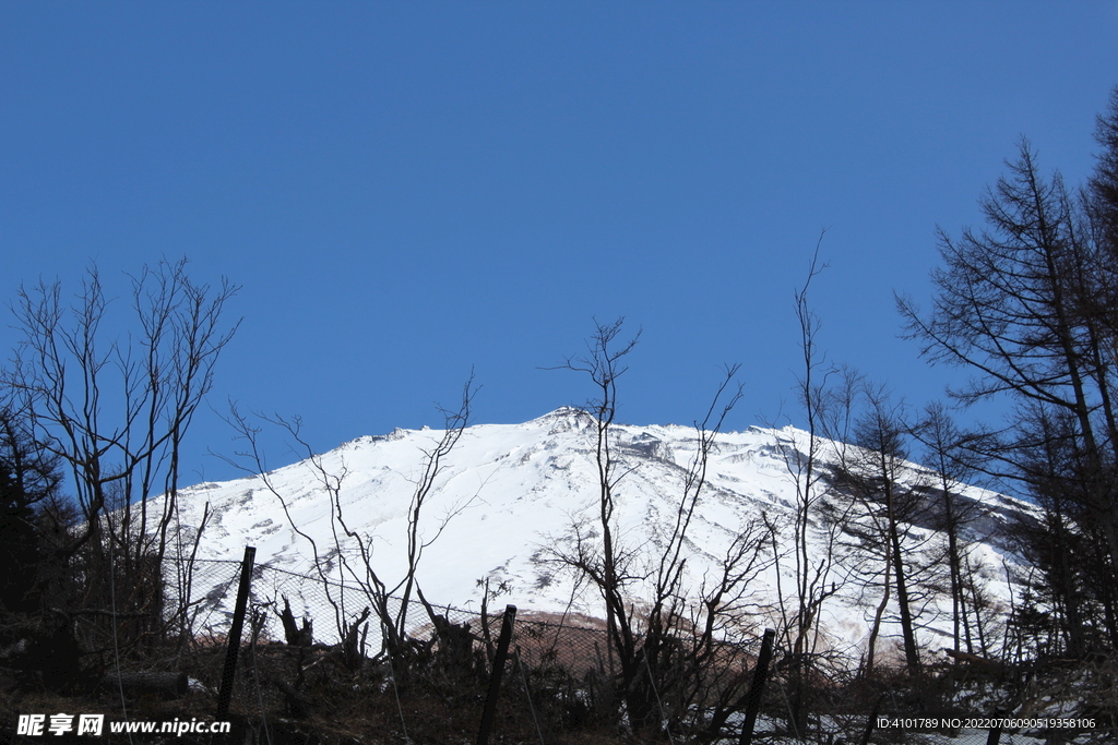 富士山