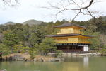 日本金光寺