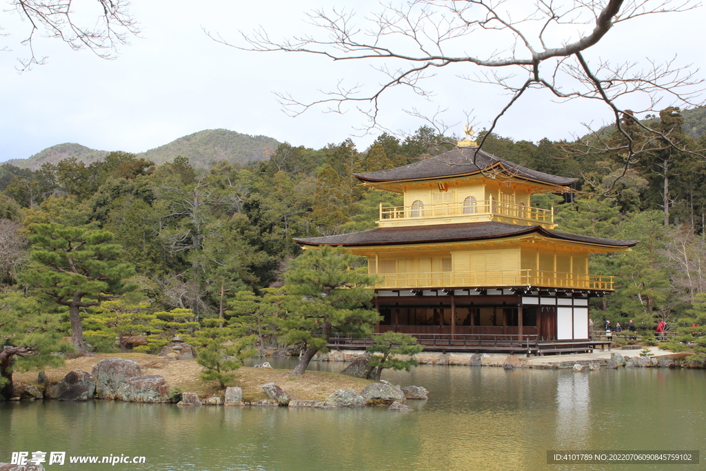 日本金光寺