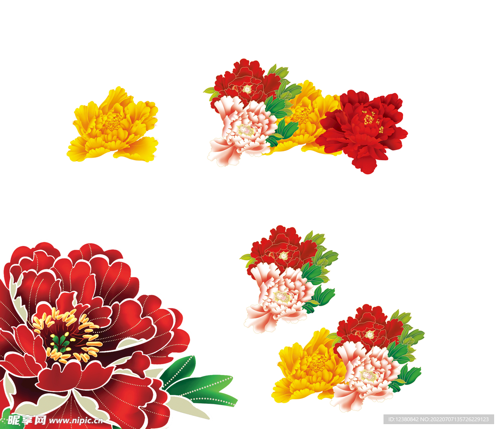 牡丹花