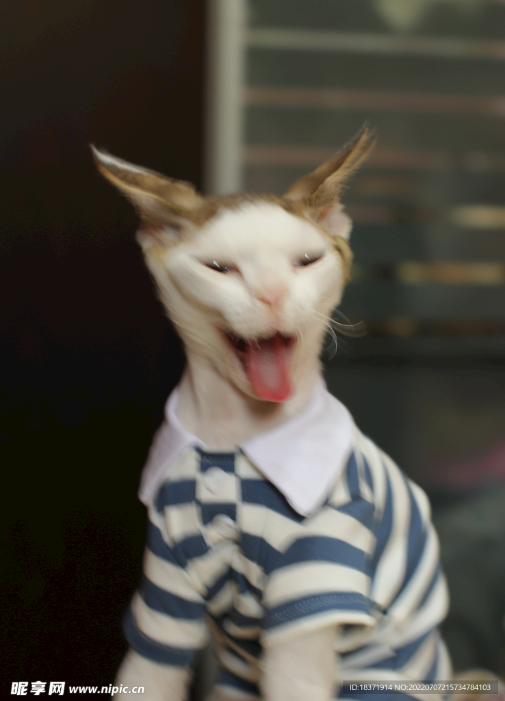加油