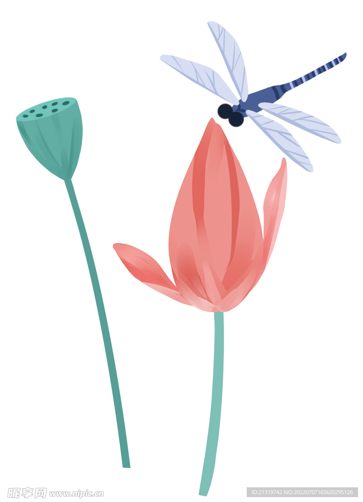 蜻蜓插画设计图