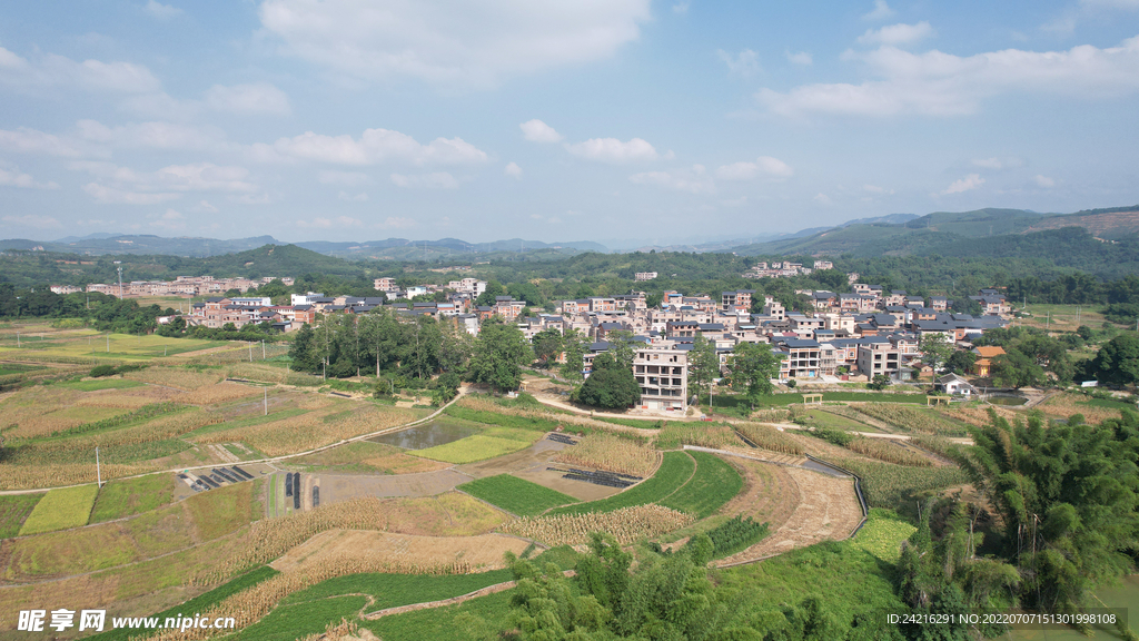 风景