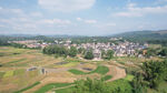 风景