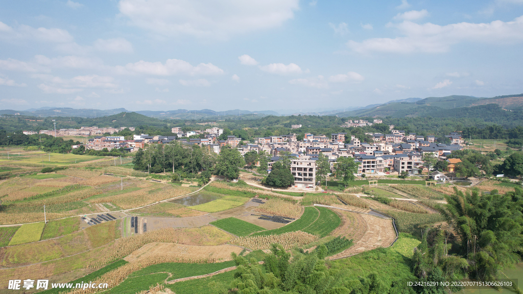 风景