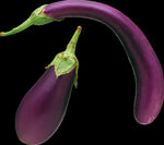 蔬菜