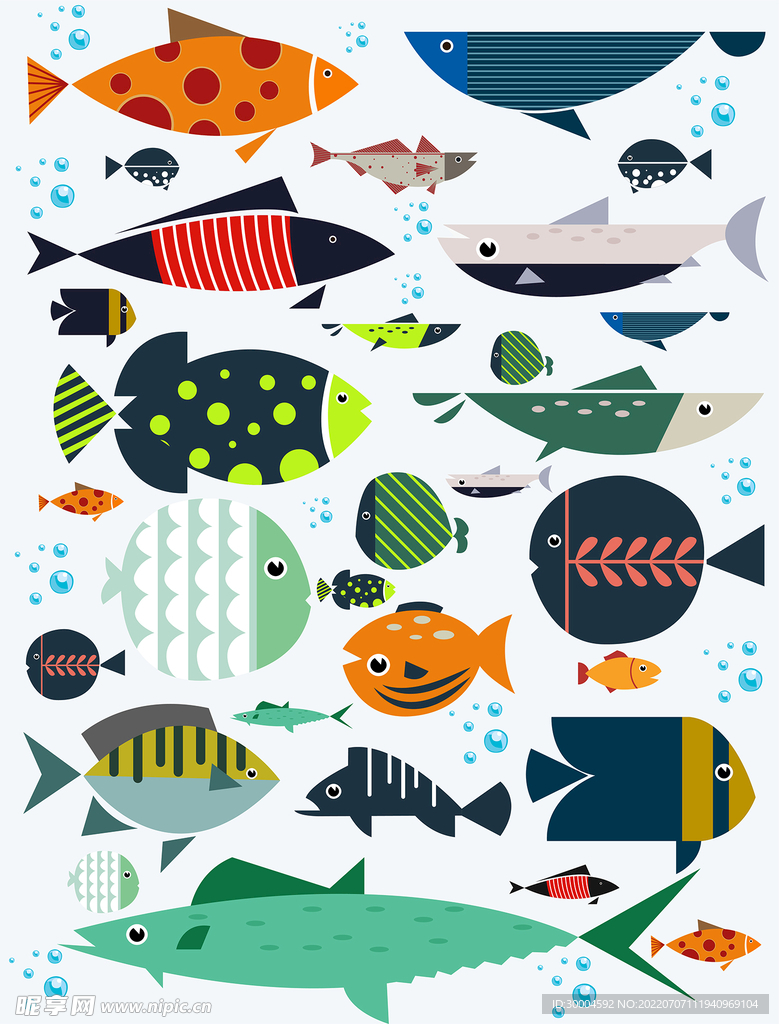 海洋鱼类插画