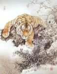 虎