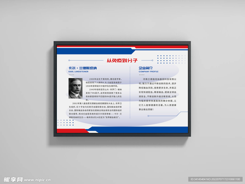 企业展板