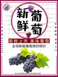 新鲜葡萄