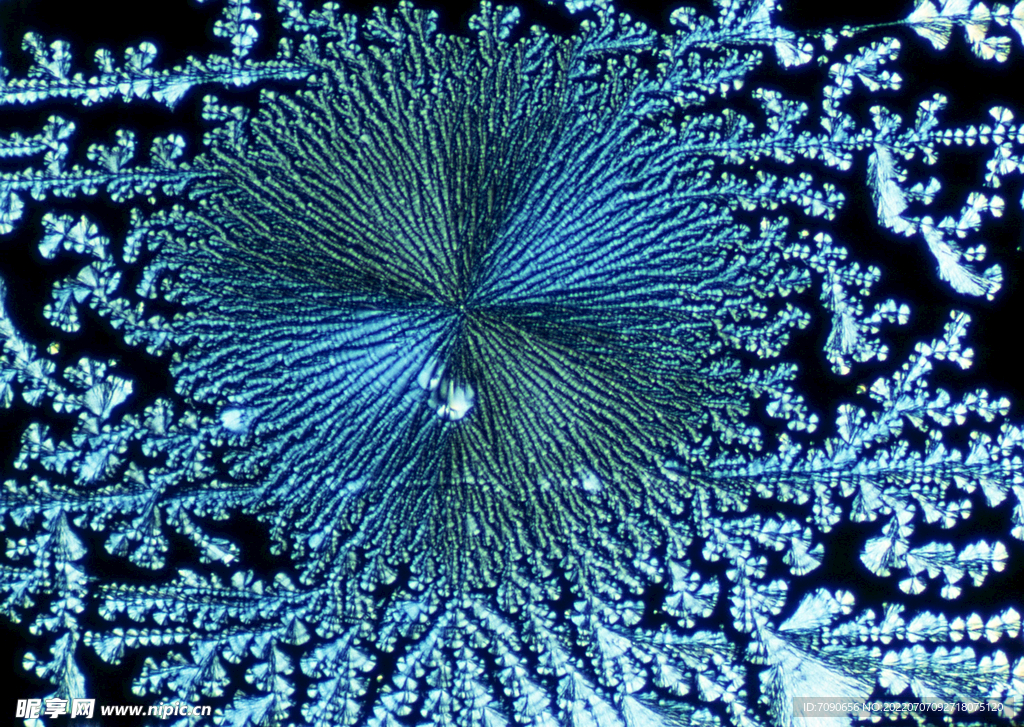 微观细胞结晶     