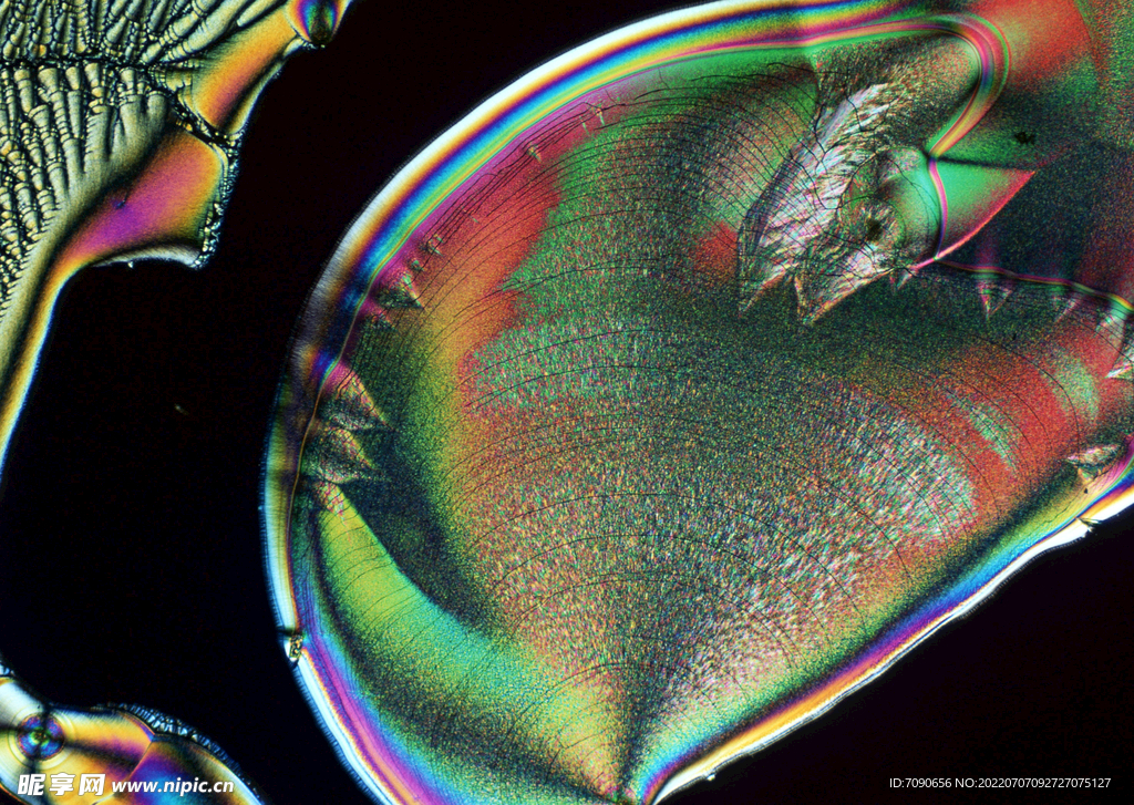 微观细胞结晶     