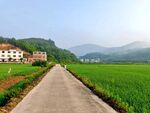 田园风光