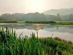 水岸风光