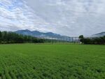 田园风光