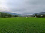 田野