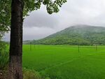 田园风光