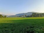 田野