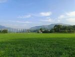 田园风光