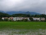 烟雨